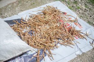 In Oenoni, a Village Community Group Brings Essential Services Closer - INKLUSI