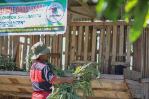Kandang Kambing dan Ruang Baru bagi Penyandang Disabilitas di Lombok Timur - INKLUSI