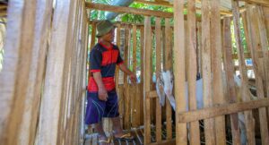 Kandang Kambing dan Ruang Baru bagi Penyandang Disabilitas di Lombok Timur - INKLUSI